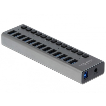 DeLOCK Hub zewnętrzny USB 5 Gbps – 13 Portów + Switch