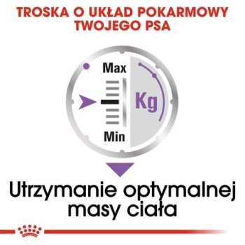 action/I3S9q6M5X0j0o1x7T2R1D9R9T2o9L1x9.jpg