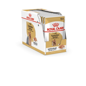 ROYAL CANIN BHN Yorkshire Terrier Adult - mokra karma dla psa dorosłego - 12x85g
