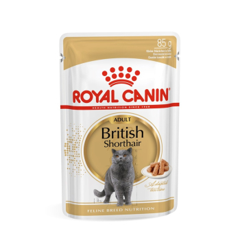 ROYAL CANIN FBN British Shorthair Adult - mokra karma dla dorosłego kota - 12x85g