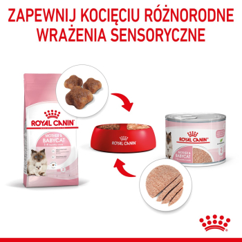 action/I9Y7A1o0d0v0I1t7Z3d2k2S876j9D9M8.jpg