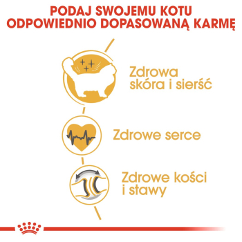 action/J347D3L8t0h0j1Z7o3y3K4I8i1U5e844.jpg