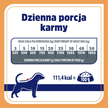 action/J3L0N047S0X0c1x7p6q7J3t9K706P8f3.jpg