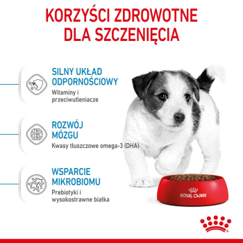 action/J5O2C2F4E0O0K1D7X3x201V9x8R9V4l9.jpg