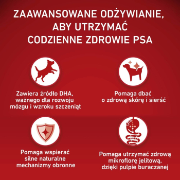 action/K1D8U9Q3r0m0P1w7c7S336R778a5n772.jpg