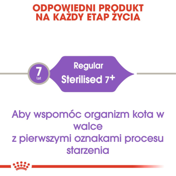 action/K4O0T7b5g0O0x1Q7M3a3Z4o0m599I9X4.jpg