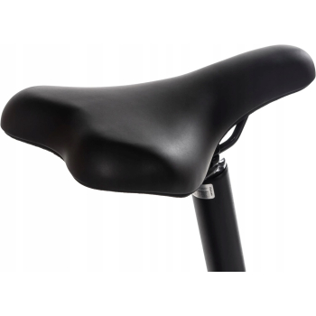 Rower elektryczny składany Snapp City-E Grafit