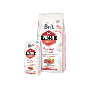 BRIT Fresh Beef & Pumpkin Puppy Large Growth & Joints  - sucha karma z wołowiną i dynią dla szczeniąt ras dużych - 12 kg