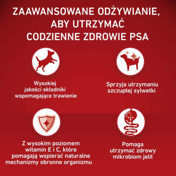action/K6N571o4w0l031p7z7L2b627z5D9z2i6.jpg