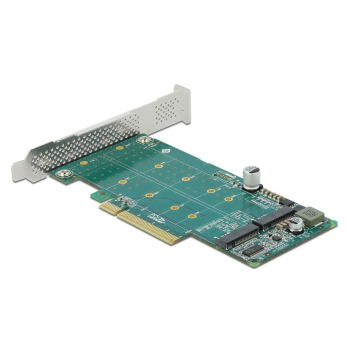 Delock PCI Express x8 Card 2 x internal NVMe M.2 Key M - Bifurcation - storage controller - M.2 NVMe Card - PCIe 4.0 x8