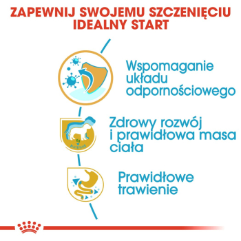 action/K7Z698c1X0f0J1X7D2s7u2x605t4R709.jpg