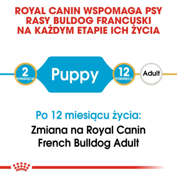action/K824x3J7n0o0C197j2w7n2s5c5o3o1c8.jpg