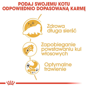 action/K866r6J3y0H0m197M5Y9l226z7J9g4P9.png