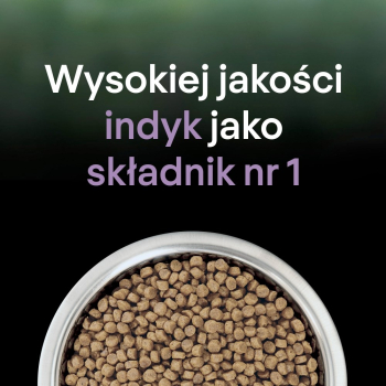 action/K8A0K0S4j0j0R1v7a783V6P8u1P8d7F6.jpg