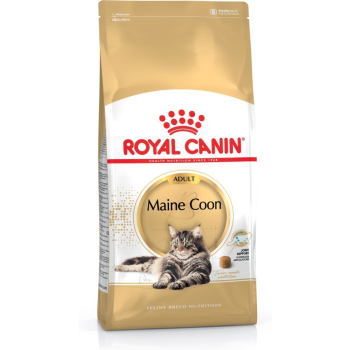 Royal Canin FBN Maine Coon Adult - sucha karma dla kota dorosłego - 4kg