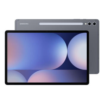 Samsung Galaxy Tab S10+ SM-X820N 12/256GB WiFi Moonstone Gray