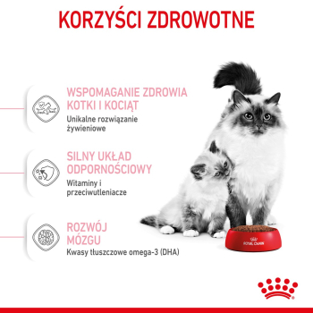 action/L2G5w6c0N010G1S7J3Y212q815x5V7I8.jpg