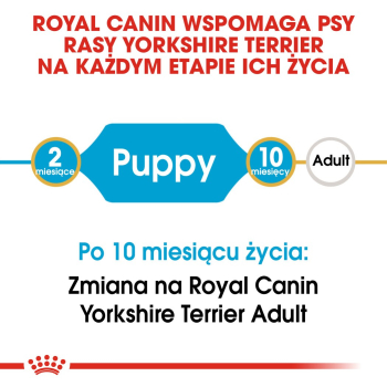action/M074p9f4n0x0r1Y7P2L7t2A7X0O000j0.jpg