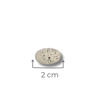 action/M1M4S735w0k0k1g7l7A914r4g4y7Y7E6.jpg
