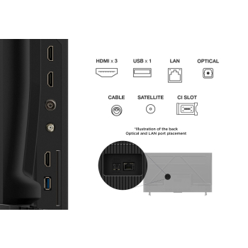 Telewizor TCL LED 4K, 50V6C, 50, Smart TV, Telewizja Google TV, UHD, Czarny