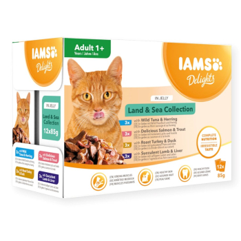 IAMS Cat Delights Land&Sea Jelly Mokra Karma w galarecie dla kota 12x85g