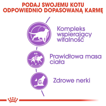 action/N1G0W4C890r0j1f7U313p4U0R5u9l9e6.jpg
