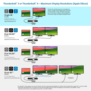 action/N5N5I6L8x0P0r1y7C810L1w7B1y2x0P4.jpg
