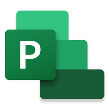 Project Professional 2024 All Languages Online Product Key License 1 License ESD