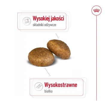 action/O187r0u7K0d0v1E7Z0U9I6L3Y3X7T937.jpg
