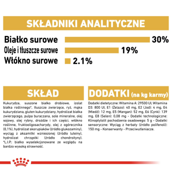action/O6R7C7L1X0y0w1i7Y2d7I3S4q5J9y0n5.jpg