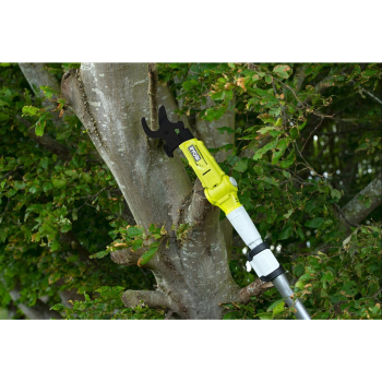 action/P8W3z6O3H0F0n1v7V8B2X8g5y1P9d9f3.jpg