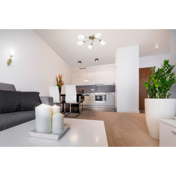 action/Q0X715s4V0M0n1L6i5z253t8o7h5H290.jpg