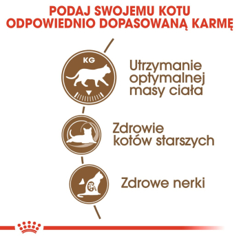 action/Q484G3X0U0D041E7f3Z314s0I1I532m4.jpg