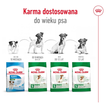 action/Q4L9B4l540l0q1q750J9I6Y5t1v8p2P8.jpg