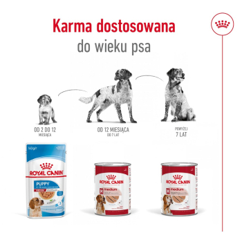 action/Q5U101M7Z0t0g1B7I8l803s4l9O0P0m7.jpg