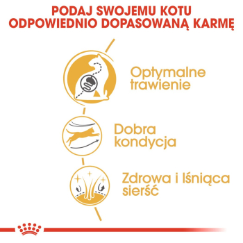 action/Q7C9m3p0g0b0b1c7e342n2Q0P0A9q9H9.jpg