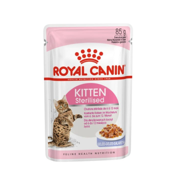 ROYAL CANIN FHN Kitten Sterilised w galaretce - mokra karma dla kociąt - 12x85g