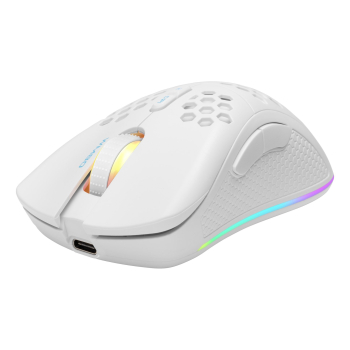 Deltaco Gaming Maus USB, RGB, weiĂź