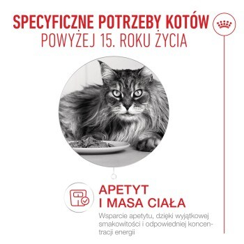 action/S125e3g1b0M0X1d796C145p8E3z5S8L1.jpg