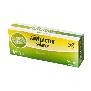 Vetfood Amylactiv Balance na trawienie pies i kot 60 kapsułek