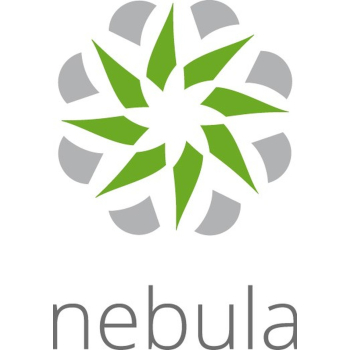 Licencja Zyxel Nebula Professional Pack (Na Urządzenie) 1 ROK