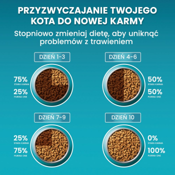 action/S7X7X9d5V0u021X7j4n9Q623E5h2H0f4.jpg