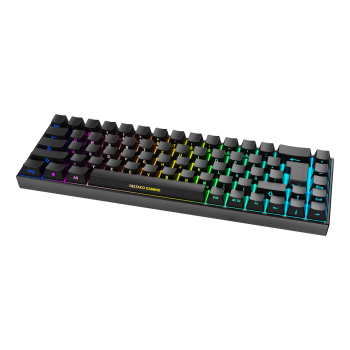 Deltaco Gaming Tastatur DK440R wireless, RGB, schwarz