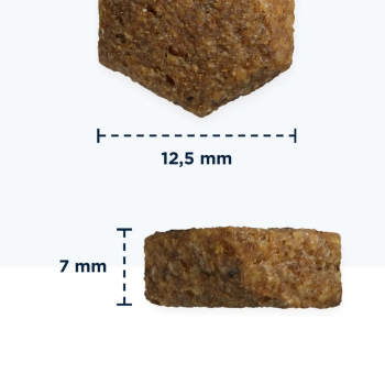 action/V4C2E728T0e0C1R778u6w9A6z4N8f0j9.jpg