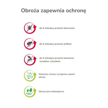 action/V5I0W1p5W0j0u1I7p3B0n71246n3j5e4.jpg