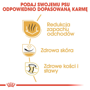 action/V9D6u2f0g0v0V1Q7X2A7P2J5R4E9D4p1.jpg
