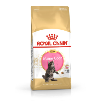 ROYAL CANIN FBN Maine Coon Kitten - sucha karma dla kociąt - 4kg