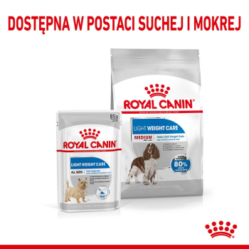 action/W2M9Q7B8u020k1M7N2M7E4x277t408L7.jpg