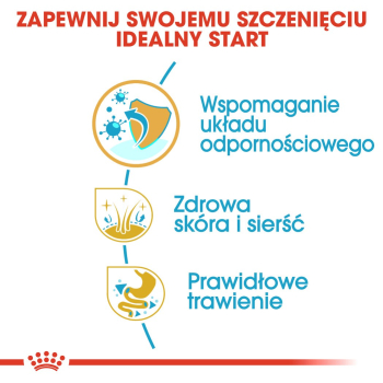 action/W2T7k6u9z0j0E147g2I7z2q6l7z2F0E2.jpg