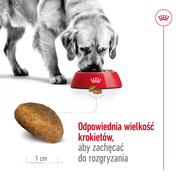 action/W5B182Y5r030D197V0L9W6T3y3K7n968.jpg